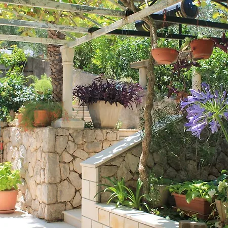 Affittacamere Apartments&rooms Mir 3*